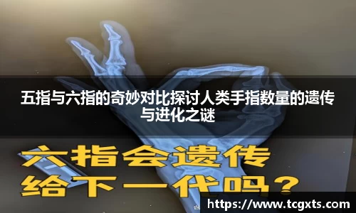 韦德体育官网